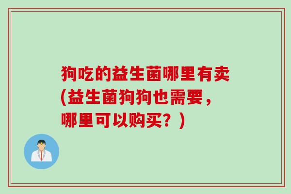 狗吃的益生菌哪里有卖(益生菌狗狗也需要，哪里可以购买？)