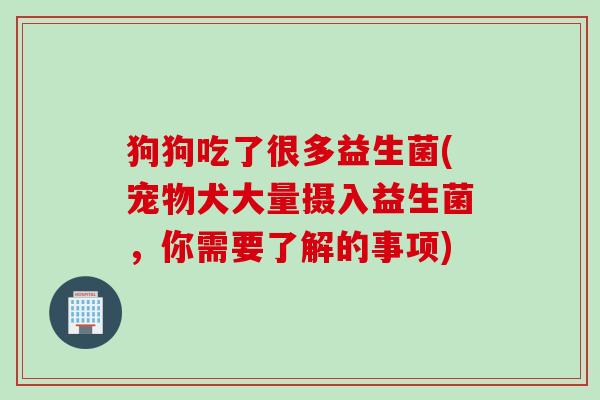 狗狗吃了很多益生菌(宠物犬大量摄入益生菌，你需要了解的事项)