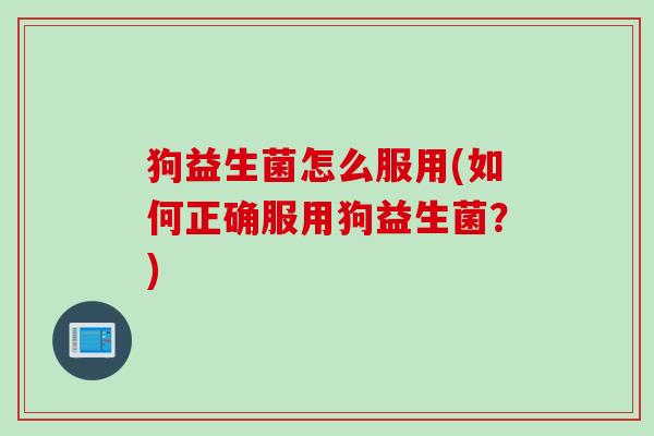 狗益生菌怎么服用(如何正确服用狗益生菌？)