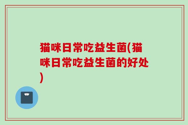 猫咪日常吃益生菌(猫咪日常吃益生菌的好处)