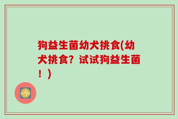 狗益生菌幼犬挑食(幼犬挑食?试试狗益生菌!) 狗益生菌幼犬挑食(幼犬挑食?试试狗益生菌!)