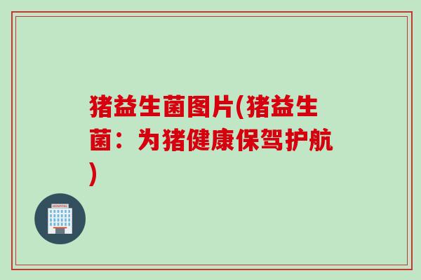 猪益生菌图片(猪益生菌：为猪健康保驾护航)