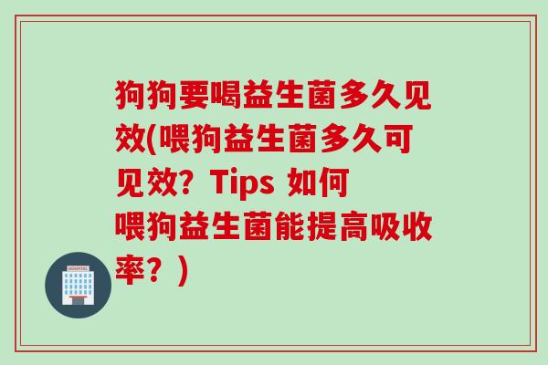 狗狗要喝益生菌多久见效(喂狗益生菌多久可见效？Tips 如何喂狗益生菌能提高吸收率？)