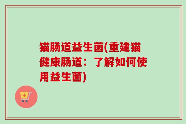猫肠道益生菌(重建猫健康肠道：了解如何使用益生菌)