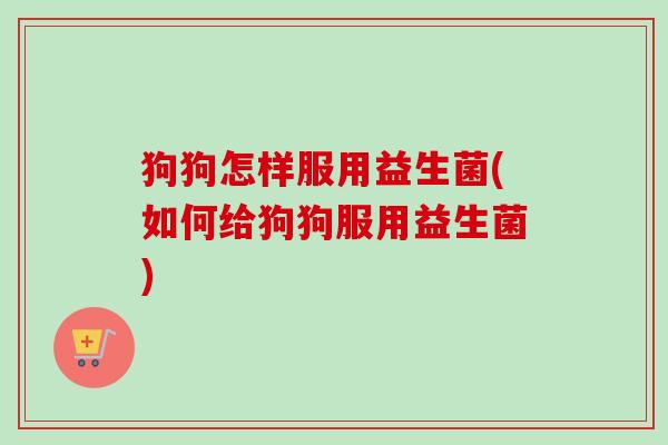 狗狗怎样服用益生菌(如何给狗狗服用益生菌)