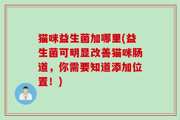 猫咪益生菌加哪里(益生菌可明显改善猫咪肠道，你需要知道添加位置！)