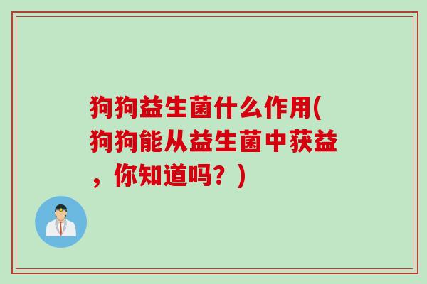 狗狗益生菌什么作用(狗狗能从益生菌中获益，你知道吗？)