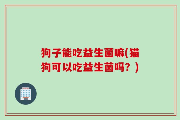 狗子能吃益生菌嘛(猫狗可以吃益生菌吗？)