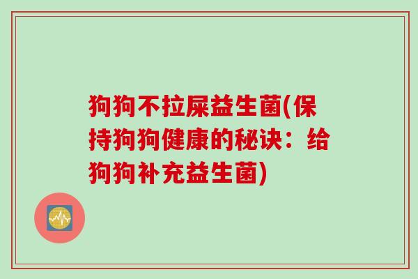 狗狗不拉屎益生菌(保持狗狗健康的秘诀：给狗狗补充益生菌)