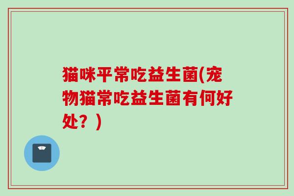 猫咪平常吃益生菌(宠物猫常吃益生菌有何好处？)
