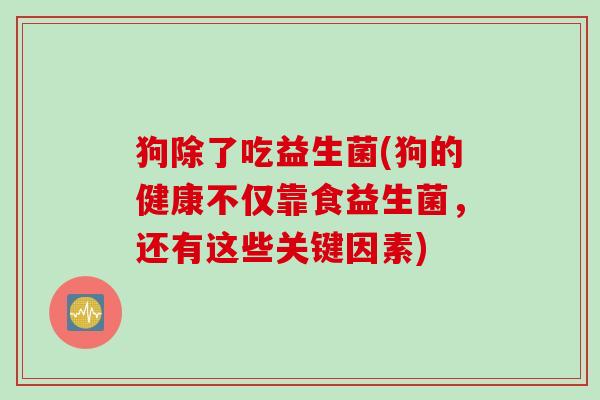 狗除了吃益生菌(狗的健康不仅靠食益生菌，还有这些关键因素)