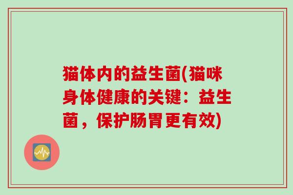 猫体内的益生菌(猫咪身体健康的关键：益生菌，保护肠胃更有效)