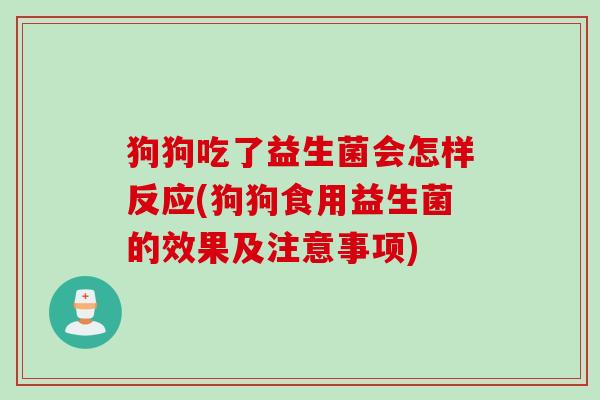 狗狗吃了益生菌会怎样反应(狗狗食用益生菌的效果及注意事项)