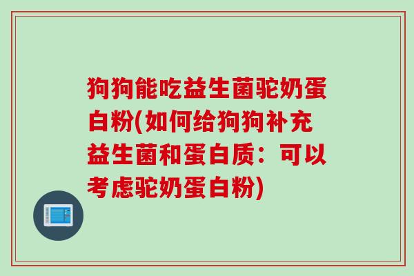 狗狗能吃益生菌驼奶蛋白粉(如何给狗狗补充益生菌和蛋白质：可以考虑驼奶蛋白粉)
