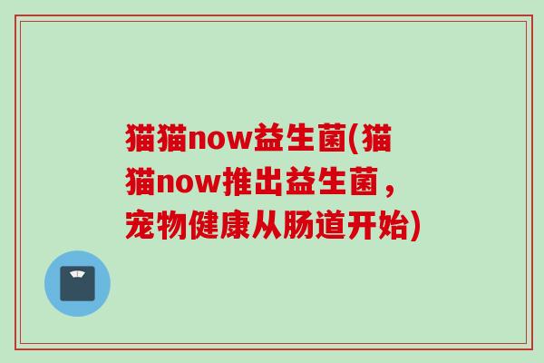 猫猫now益生菌(猫猫now推出益生菌，宠物健康从肠道开始)