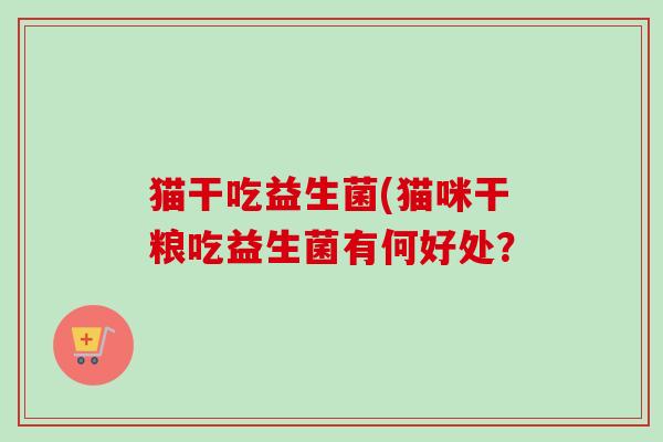 猫干吃益生菌(猫咪干粮吃益生菌有何好处？