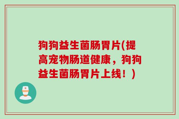 狗狗益生菌肠胃片(提高宠物肠道健康，狗狗益生菌肠胃片上线！)