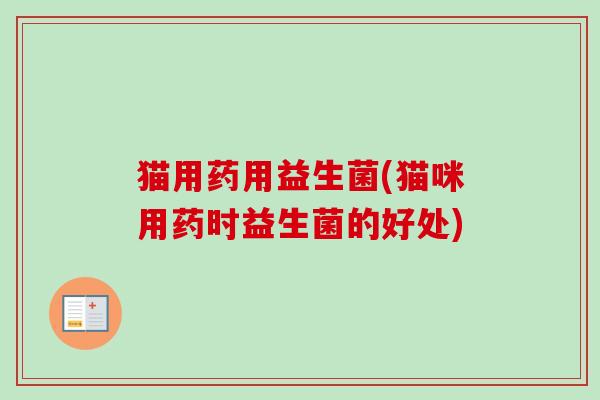 猫用药用益生菌(猫咪用药时益生菌的好处)