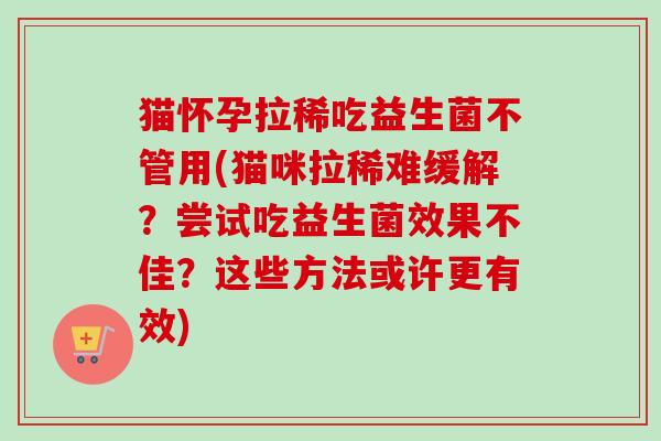 猫怀孕拉稀吃益生菌不管用(猫咪拉稀难缓解？尝试吃益生菌效果不佳？这些方法或许更有效)