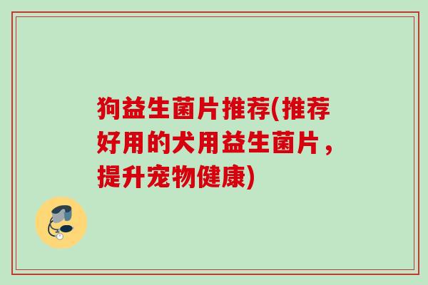 狗益生菌片推荐(推荐好用的犬用益生菌片，提升宠物健康)