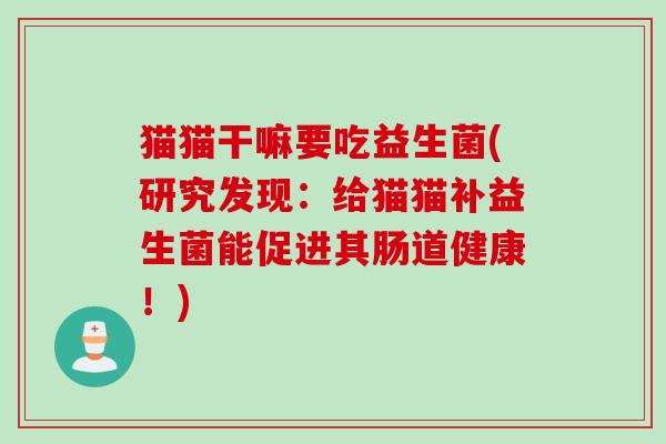 猫猫干嘛要吃益生菌(研究发现：给猫猫补益生菌能促进其肠道健康！)