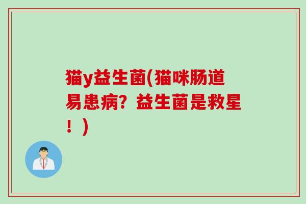 猫y益生菌(猫咪肠道易患?益生菌是救星!) 猫y益生菌(猫咪肠道易患?益生菌是救星!)