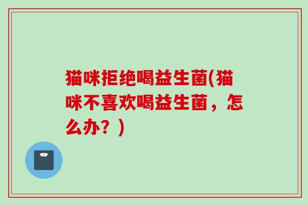 猫咪拒绝喝益生菌(猫咪不喜欢喝益生菌,怎么办?) 猫咪拒绝喝益生菌(猫咪不喜欢喝益生菌,怎么办?)