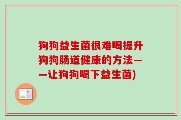 狗狗益生菌很难喝提升狗狗肠道健康的方法——让狗狗喝下益生菌) 狗狗益生菌很难喝提升狗狗肠道健康的方法——让狗狗喝下益生菌)