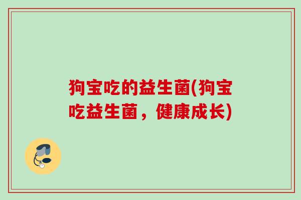 狗宝吃的益生菌(狗宝吃益生菌,健康成长) 狗宝吃的益生菌(狗宝吃益生菌,健康成长)