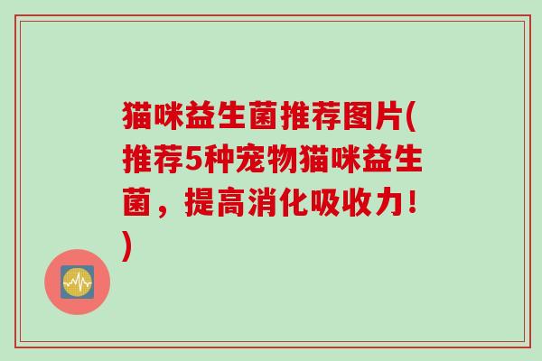 猫咪益生菌推荐图片(推荐5种宠物猫咪益生菌，提高消化吸收力！)