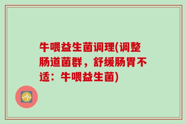 牛喂益生菌调理(调整肠道菌群，舒缓肠胃不适：牛喂益生菌)