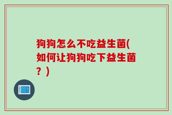 狗狗怎么不吃益生菌(如何让狗狗吃下益生菌?) 狗狗怎么不吃益生菌(如何让狗狗吃下益生菌?)
