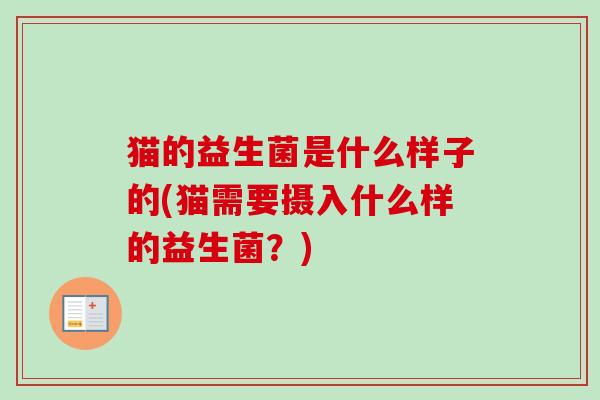 猫的益生菌是什么样子的(猫需要摄入什么样的益生菌?) 猫的益生菌是什么样子的(猫需要摄入什么样的益生菌?)