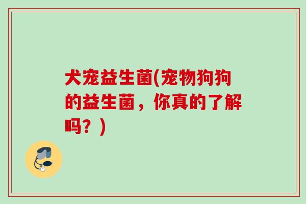 犬宠益生菌(宠物狗狗的益生菌,你真的了解吗?) 犬宠益生菌(宠物狗狗的益生菌,你真的了解吗?)