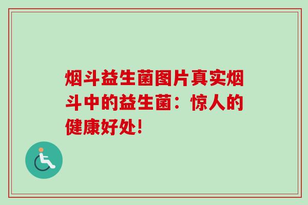 烟斗益生菌图片真实烟斗中的益生菌：惊人的健康好处!