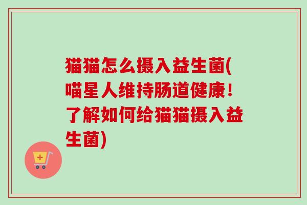 猫猫怎么摄入益生菌(喵星人维持肠道健康!了解如何给猫猫摄入益生菌) 猫猫怎么摄入益生菌(喵星人维持肠道健康!了解如何给猫猫摄入益生菌)