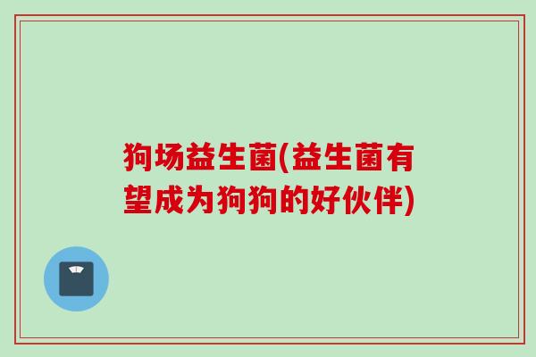 狗场益生菌(益生菌有望成为狗狗的好伙伴)