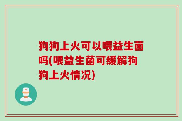 狗狗上火可以喂益生菌吗(喂益生菌可缓解狗狗上火情况)