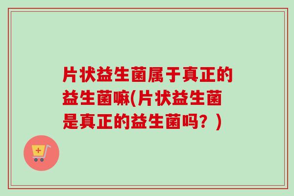 片状益生菌属于真正的益生菌嘛(片状益生菌是真正的益生菌吗?) 片状益生菌属于真正的益生菌嘛(片状益生菌是真正的益生菌吗?)