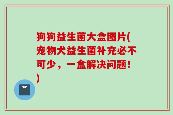 狗狗益生菌大盒图片(宠物犬益生菌补充必不可少，一盒解决问题！)