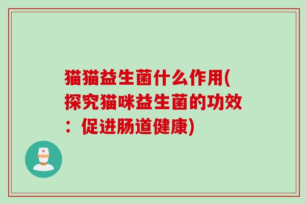 猫猫益生菌什么作用(探究猫咪益生菌的功效：促进肠道健康)