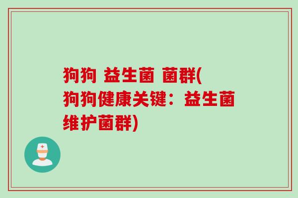 狗狗 益生菌 菌群(狗狗健康关键:益生菌维护菌群) 狗狗 益生菌 菌群(狗狗健康关键:益生菌维护菌群)