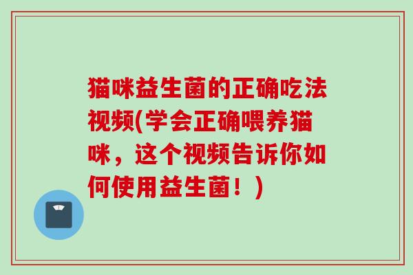 猫咪益生菌的正确吃法视频(学会正确喂养猫咪，这个视频告诉你如何使用益生菌！)