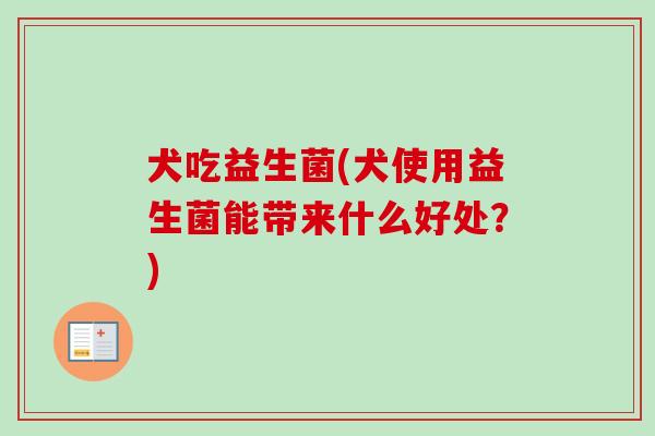 犬吃益生菌(犬使用益生菌能带来什么好处？)