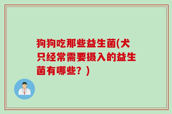 狗狗吃那些益生菌(犬只经常需要摄入的益生菌有哪些？)
