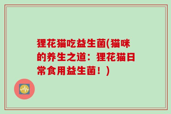 狸花猫吃益生菌(猫咪的养生之道：狸花猫日常食用益生菌！)