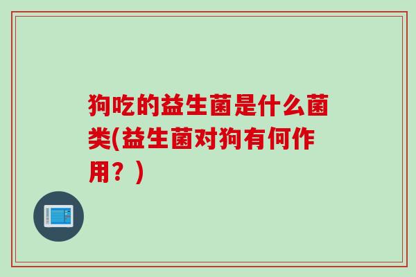 狗吃的益生菌是什么菌类(益生菌对狗有何作用?) 狗吃的益生菌是什么菌类(益生菌对狗有何作用?)