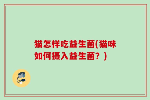 猫怎样吃益生菌(猫咪如何摄入益生菌？)