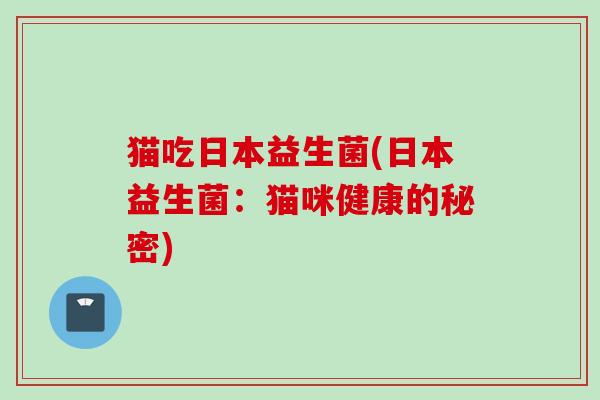 猫吃日本益生菌(日本益生菌：猫咪健康的秘密)