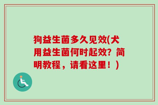 狗益生菌多久见效(犬用益生菌何时起效？简明教程，请看这里！)